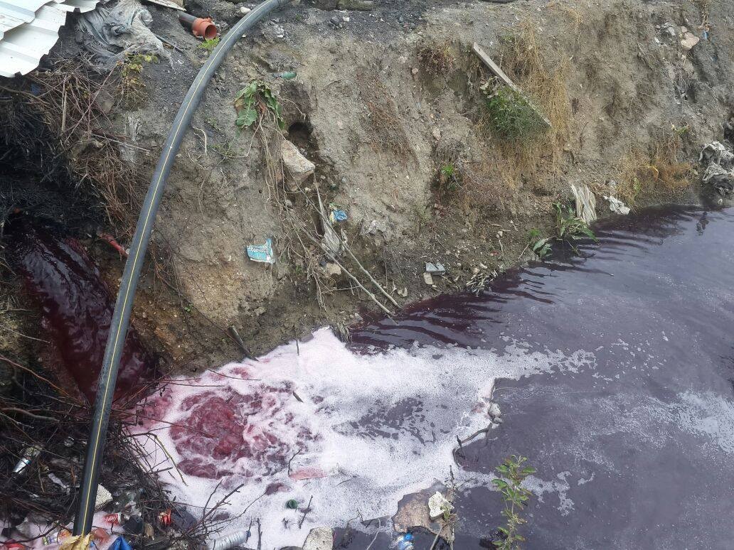 Bursa'nın derelerinden zehir akıyor! - Bursada Bugün - Bursa bursa haber bursa haberi bursa haberleri Bursa