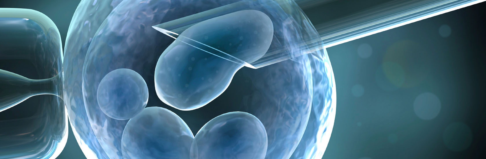 Tüp bebekte karışıklığa son! Sağlık ve Beslenme