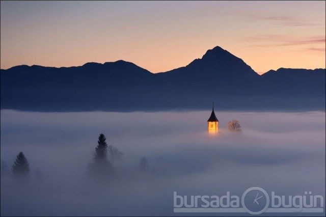 2012 National Geographic fotoğraf yarışması