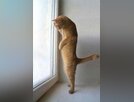 İnternette yayınlanan en komik fotoğraflar!