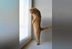 İnternette yayınlanan en komik fotoğraflar!