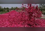 Haftanın unutulmaz fotoğrafları