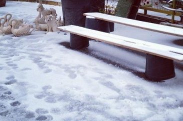 Ünlülerin kar sevinci