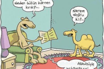 Komik karne karikatürleri