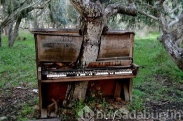 Artık insanın ayak basmadığı topraklar