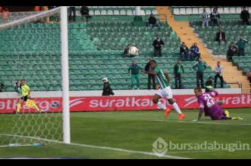 Timsah kaçtı Eskişehir yakaladı:2-2