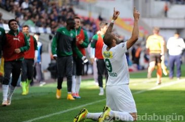 Timsah Kayseri'de fırsat tepti!