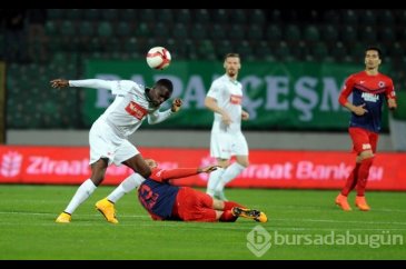 Timsah Kupa'da tekledi!