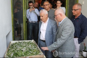 Sanatçı Yağlıdere'den 'İpekböceğinin Öyküsü'