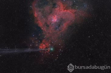 2015'in ödüllü 11 büyüleyici fotoğrafı
