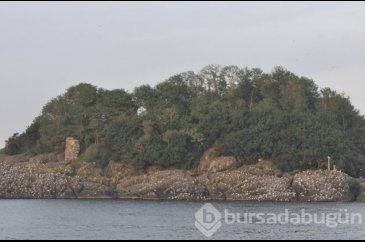 Giresun Adası'nda tarihi mezar ve kalıntılar bulundu