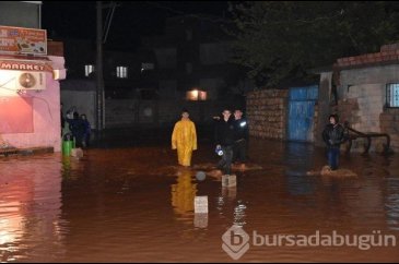 Sel sularına kapılan TIR sürücüsü öldü