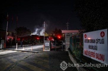 Atatürk Orman Çiftliği'nde korkutan yangın
