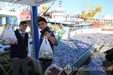 Karadeniz'de hamsi bereketi