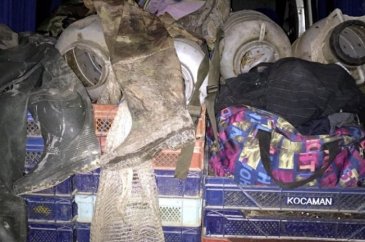 Diyarbakır'da 100 kilo kurbağa yakalandı