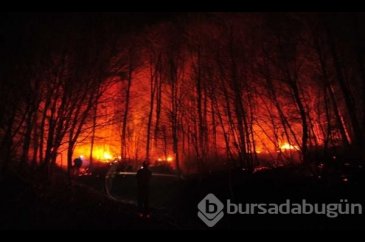 Bursa'nın ciğerleri yandı