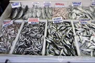 Palamudun yerini hamsi aldı
