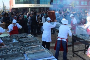 1 saatte 2 ton hamsi yediler!