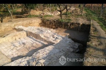 Kanuni'nin iç organlarının defnedildiği yer bulundu