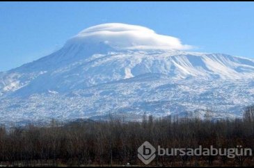 PKK'nin erzak deposu bulundu