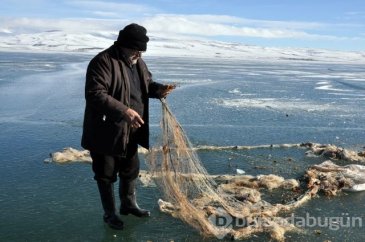 -20 derecede yaşam kavgası