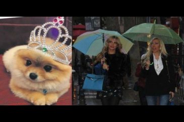 Hande Acar'dan Işıl Reçber'e 'köpek' teklifi
