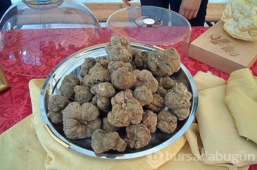 Dünyanın en pahalı 16 maddesi