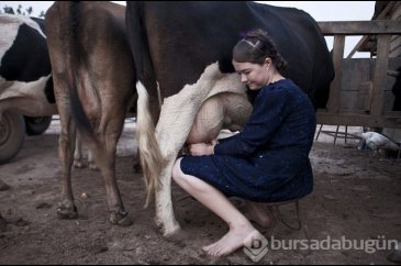 Mennonitler'in gizli yaşamı