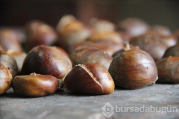 Hem keyif hem sağlık veriyor