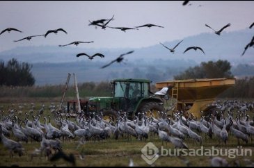 25 yıldır göçmen kuşların peşinde