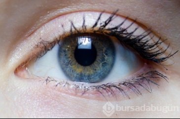 Hangi besin hangi organa benziyor?
