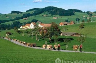 Dünyaya gelmek için en iyi ülkeler