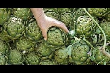 Su içinde bekletilen enginarı satın almayın

