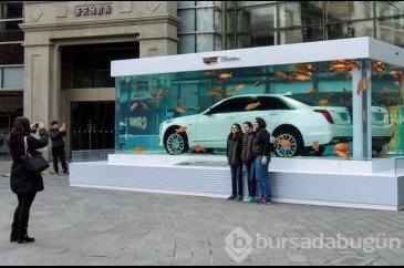 Akvaryumda lüks otomobilli tanıtım