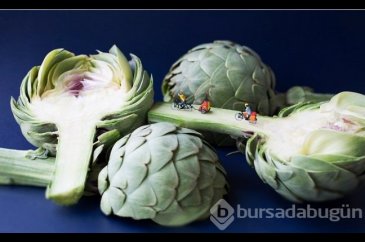 Siz hiç Food Art (Yiyecek Sanatı) gördünüz mü?