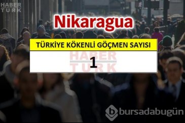 Hangi ülkede kaç Türk yaşıyor?