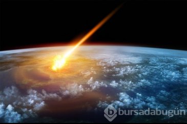 65 milyon yıllık soru cevap buluyor