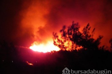 Marmaris'te orman yangını
