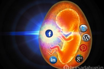 Beynimiz yıllar öncesinden Twitter ve Facebook'a hazırlanıyordu