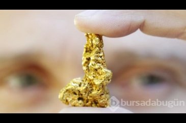 Tuvaletinizde gizli bir altın madeni yatıyor olabilir