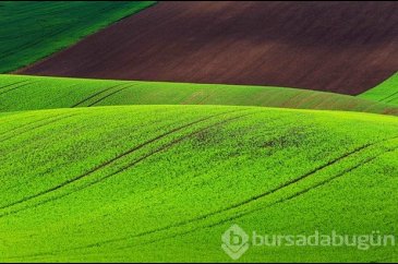 Fotoğrafçıların yeni uğrak noktası
