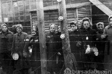 Korkunç Nazi deneyleri