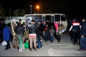 15 kişilik minibüsten 43 kaçak çıktı
