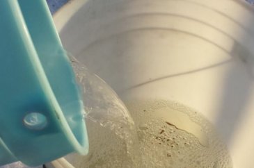 Ağaçtan gelen mucize! Ünlü yıldızın sırrı buymuş