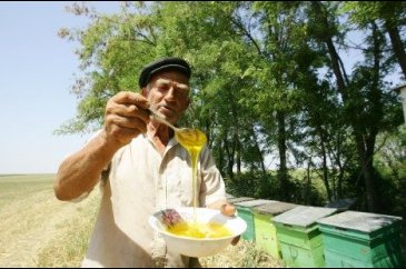 Kanser, karaciğer, sedef ve mide için ilaç
