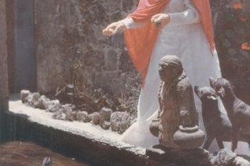 Frida Kahlo'nun muhtemelen ilk kez göreceğiniz fotoğrafları
