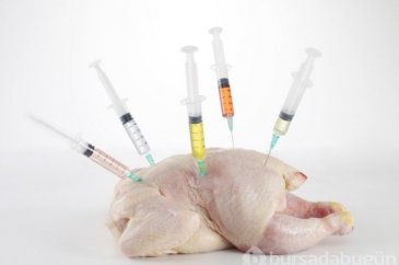 Tavuk, balık, inek
Antibiyotik çağrısı
