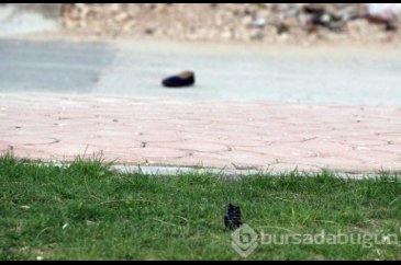 Genç kadına ağabey kurşunu!