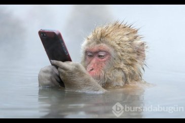 Akıllı telefon bağımlılığının 5 yan etkisi