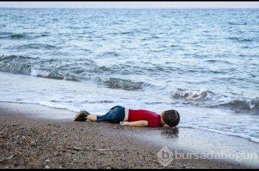 'Aylan Bebek' yılın fotoğrafı 